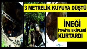 3 METRELK KUYUYA DTEN NE TFAYE EKPLER KURTARDI