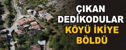 IKAN DEDKODULAR KY KYE BLD