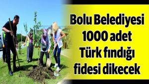 BU FINDIIN NESL RSK ALTINDA