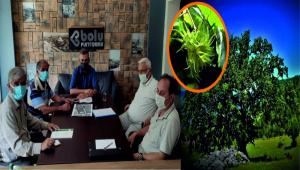 BOLU PLATFORMU DA FINDII\' N HAREKETE GET