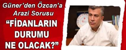 Gner\'den zcan\'a Arazi Sorusu