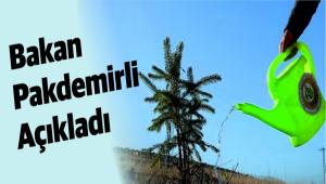 BOLU\'DA BU YILSONUNA KADAR 942 BN FDAN DKLECEK