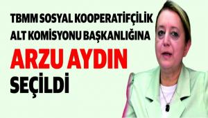 TBMM SOSYAL KOOPERATFLK ALT KOMSYONU BAKANLIINA ARZU AYDIN SELD