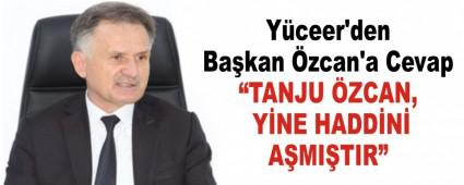 TANJU ZCAN, YNE HADDN AMITIR