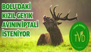 Vegan Dernei Tarm ve Orman Bakanlna Dava At