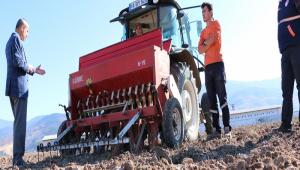 BOLU\'DA TOHUMLAR TOPRAKLA BULUUYOR