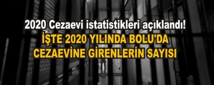 TE 2020 YILINDA BOLU\'DA CEZAEVNE GRENLERN SAYISI