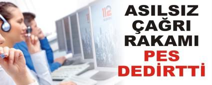 ASILSIZ ARI RAKAMI PES DEDRTT