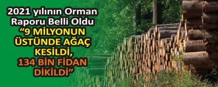 2021 ylnn Orman Raporu Belli Oldu