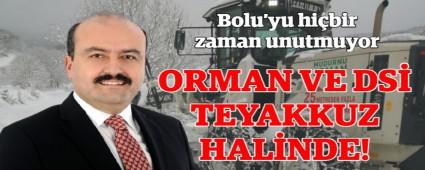 ORMAN VE DS TEYAKKUZ HALNDE!