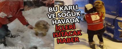 BU KARLI VE SOUK HAVADA LER ISITACAK HABER