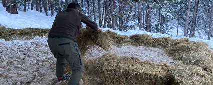 BROK YERE YZLERCE KLO YEM BIRAKILDI