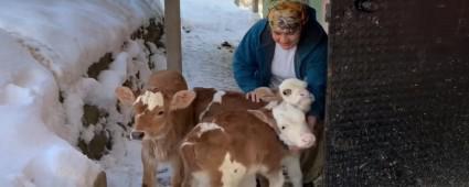 5 DOUMDA 9 BUZAI BEREKET