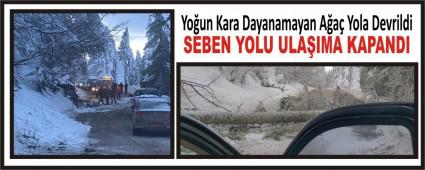 Youn Kara Dayanamayan Aa Yola Devrildi