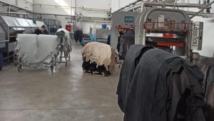 BOLU\'DA DEVLET DESTEKLYOR LETMELER ALIIYOR