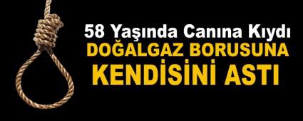 58 Yanda Canna Kyd