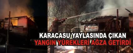 KARACASU YAYLASINDA IKAN YANGIN YREKLER AZA GETRD