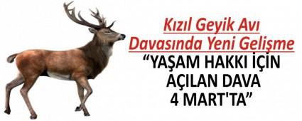 Kzl Geyik Av Davasnda Yeni Gelime