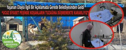 UCUZ SYASET PENDE KOANLARIN TUZAINA DMEMEKTE KARARLIYIZ