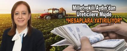 Milletvekili Aydn\'dan reticilere Mjde