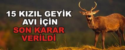 15 KIZIL GEYK AVI N SON KARAR VERLD