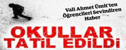 ETME BR GN ARA VERLD