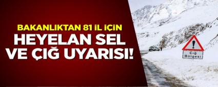 81 L N HEYELAN, SEL VE I UYARISI