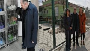 HAYVAN HASTANESN ZYARET ETTLER