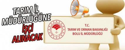 TARIM L MDRLNE  ALINACAK