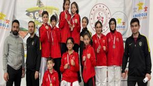 BOLU\'NUN ALTIN OCUKLARI