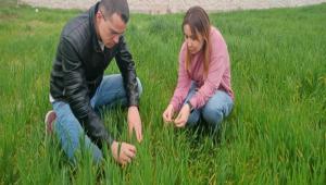 BAHAR YAILARINDA SEPTORYA\'YA DKKAT