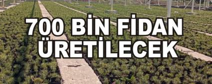 700 BN FDAN RETLECEK