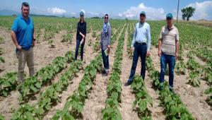 YALIK AYEKLER KONTROL EDLYOR