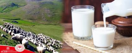 BOLU RETYOR, DESTEKLER DEVAM EDYOR