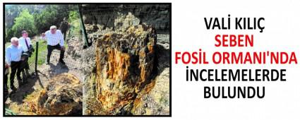 VAL KILI SEBEN FOSL ORMANI\'NDA NCELEMELERDE BULUNDU