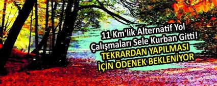 11 Km\'lik Alternatif Yol almalar Sele Kurban Gitti!