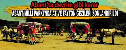 Abant\'ta devrim gibi karar