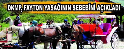 DKMP, FAYTON YASAININ SEBEBN AIKLADI