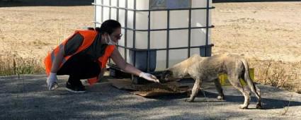HAKO BOLU L TEMSLCL LELERDE BESLEME YAPTI