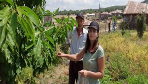 ARKA VRS VE DER ZARARLILAR N SURVEY ALIMALARI DEVAM EDYOR