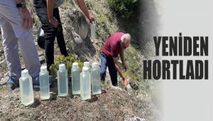 YUVA KYNDE ZEHRLENME KABUSU YENDEN HORTLADI