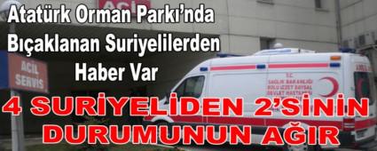 Atatrk Orman Park\'nda Baklanan Suriyelilerden Haber Var