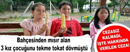 Bahesinden msr alan 3 kz ocuunu tekme tokat dvmt