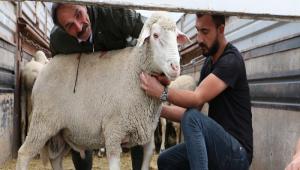 BOLU\'DA YETTRCLERE YKSEK VERML KO DAITILDI