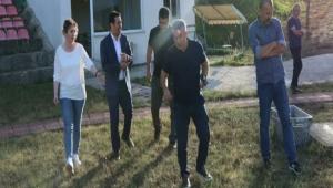 GLER ATI POLGONU TESSLERN NCELED