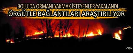 BOLU\'DA ORMANI YAKMAK STEYENLER YAKALANDI