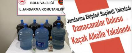 Jandarma Ekipleri Sust Yakalad