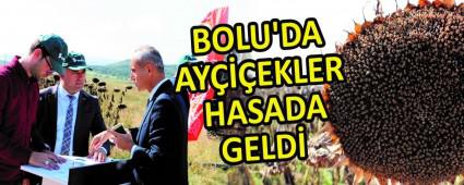 BOLU\'DA AYEKLER HASADA GELD