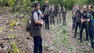 MUDURNU\'DA ORMANCILIK FAALYETLER YERNDE NCELEND
