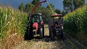 SLAJLIK MISIR TOHUMLARI RETCNN KALTEL KABA YEM HTYACINI KARILIYOR